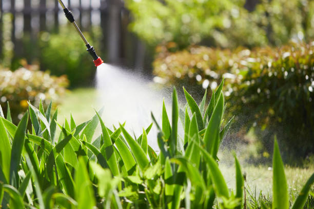 24/7 Emergency Termite Control experts in Lititz, PA
